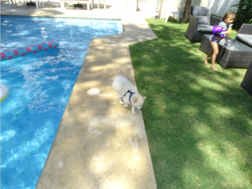 INCREIBLE DUPLEX EN PLAYA BLANCA RESORT — foto 6