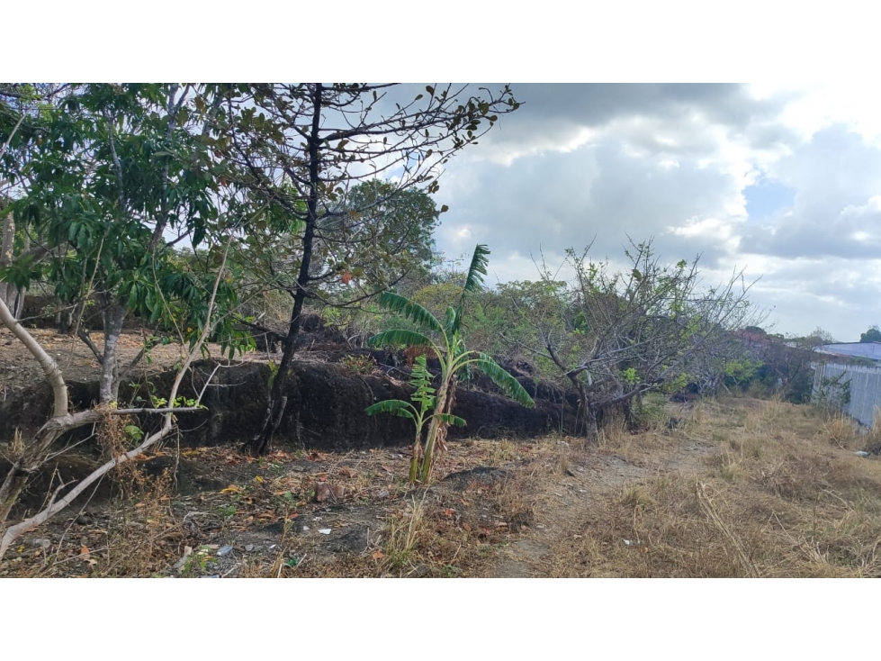 ¡OPORTUNIDAD DE INVERSIÃN EN COLONCITO, NUEVA GORGONA CHAME — foto 3