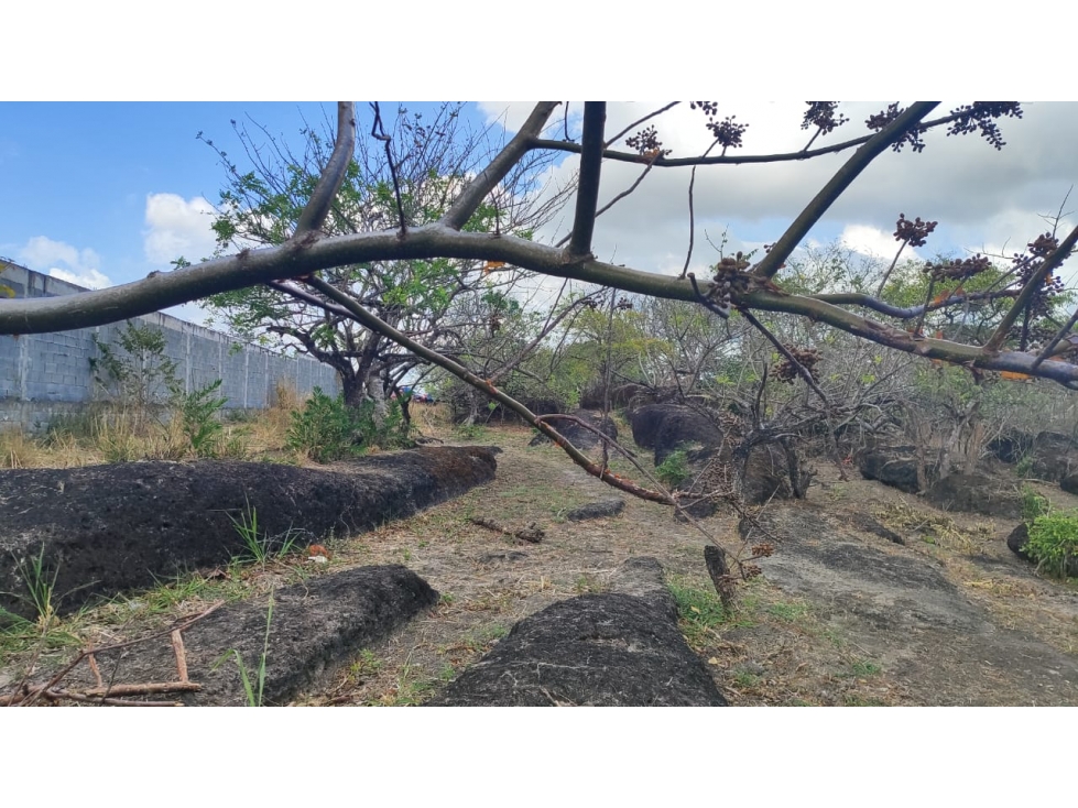 ¡OPORTUNIDAD DE INVERSIÃN EN COLONCITO, NUEVA GORGONA CHAME — foto 4