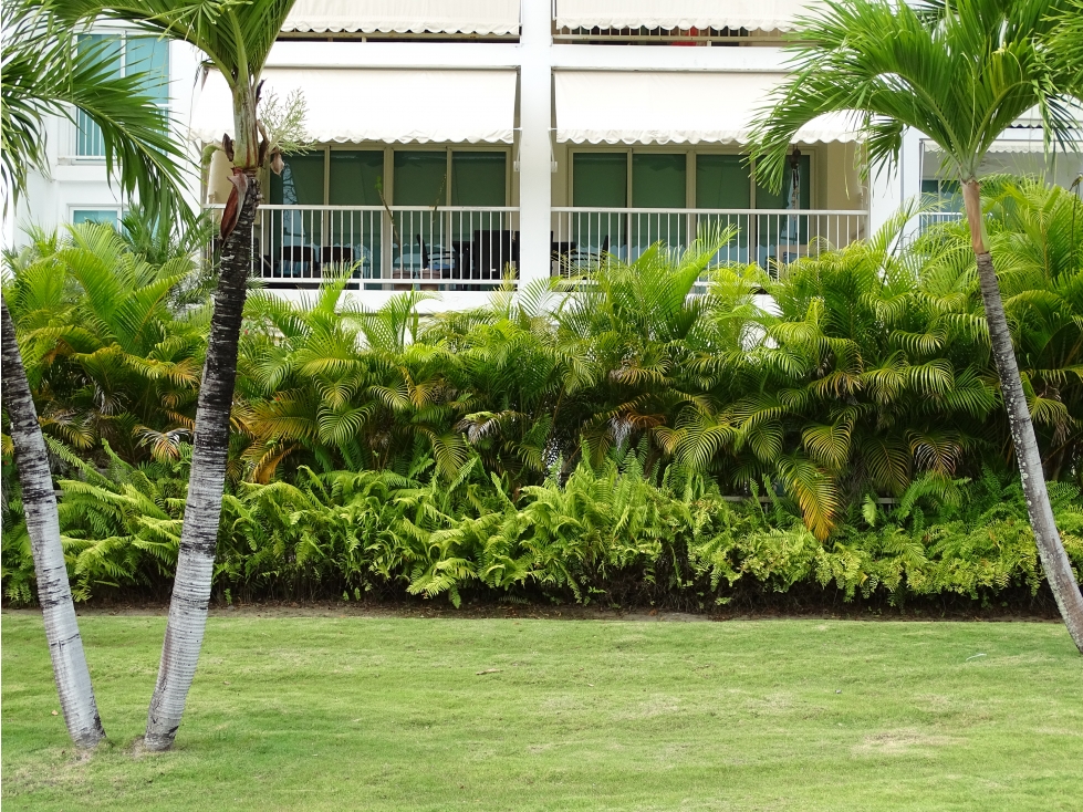 Frente al Mar en Bijao Beach & Club Residences Torre Balboa — foto 6