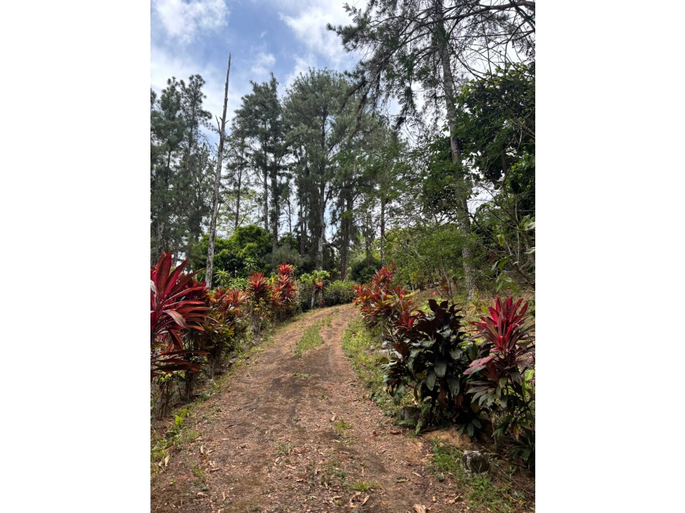 Venta de Casa Campestre en Los Nevados, Cerro Azul REMATE - 2