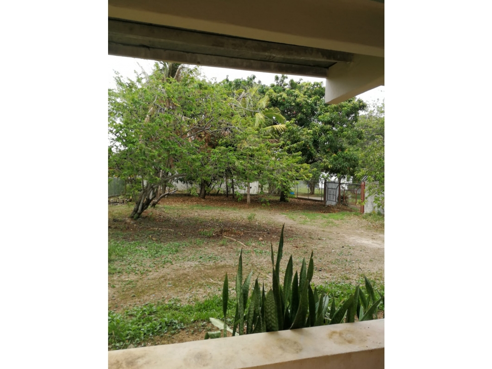 Se vende terreno con vivienda en Gorgona Panamá — foto 3