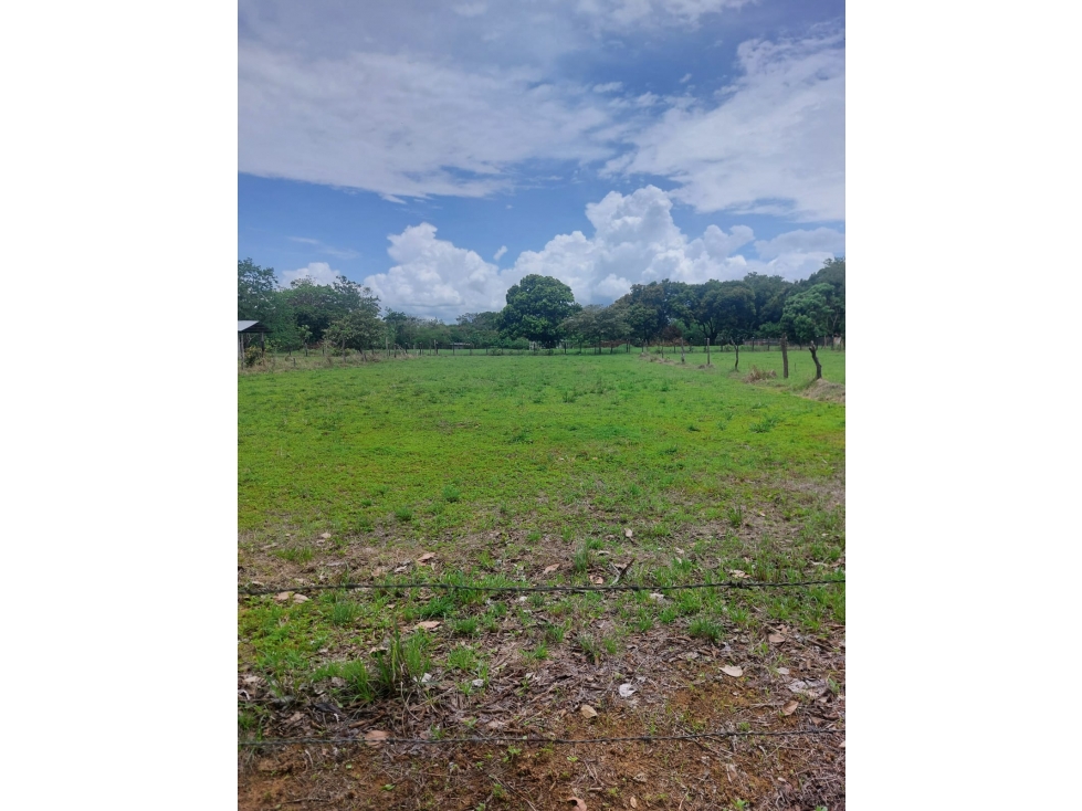 Se vende terreno en La Candelaria Coclé, Panamá - 3