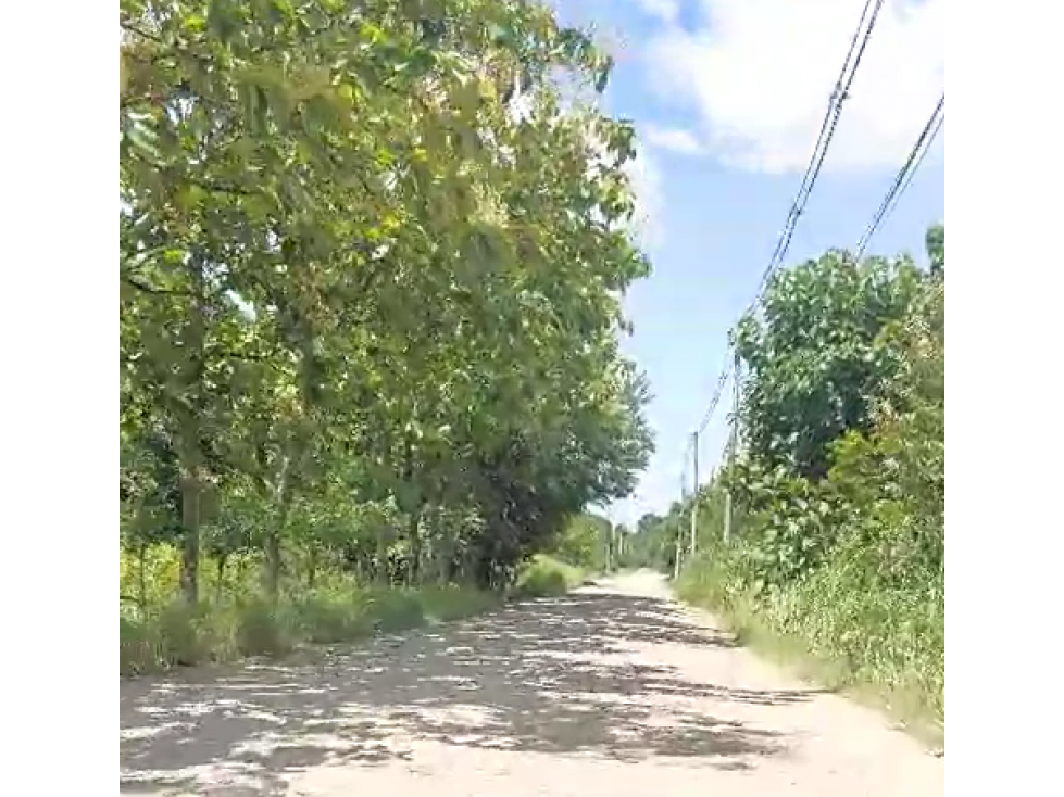 Venta de Espectacular Finca de 25 Hectáreas en Tanara! Panamá - 5