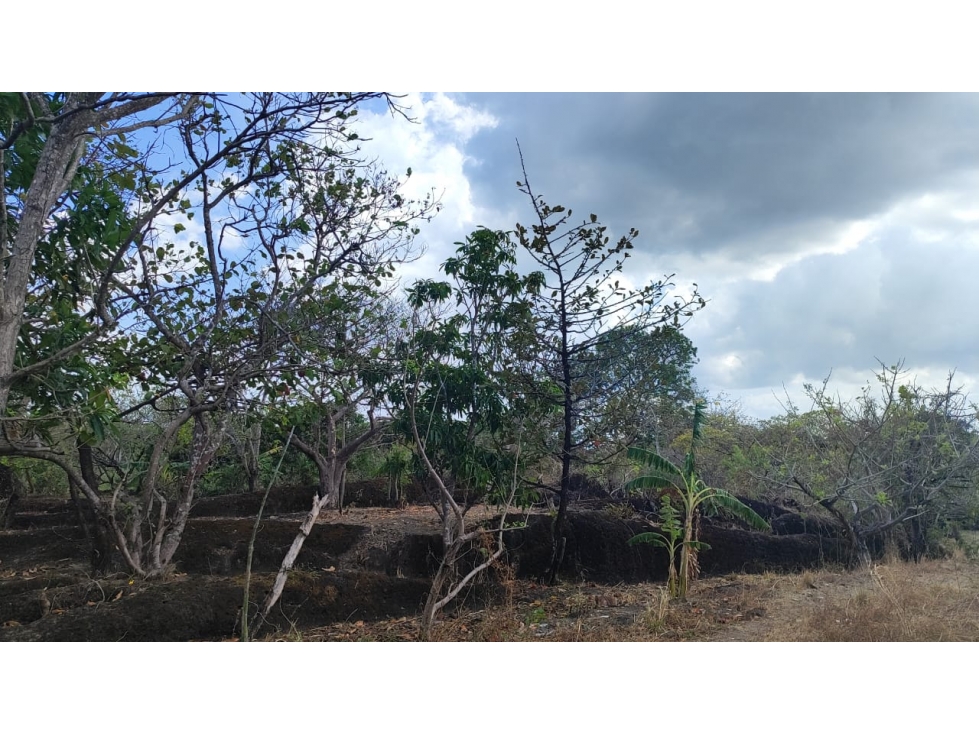 ¡OPORTUNIDAD DE INVERSIÃN EN COLONCITO, NUEVA GORGONA CHAME — foto 5