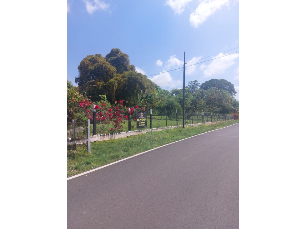 TERRENO PARA DESARROLLO INMOBILIARIO EN LA CHORRERA, PANAMA - 4
