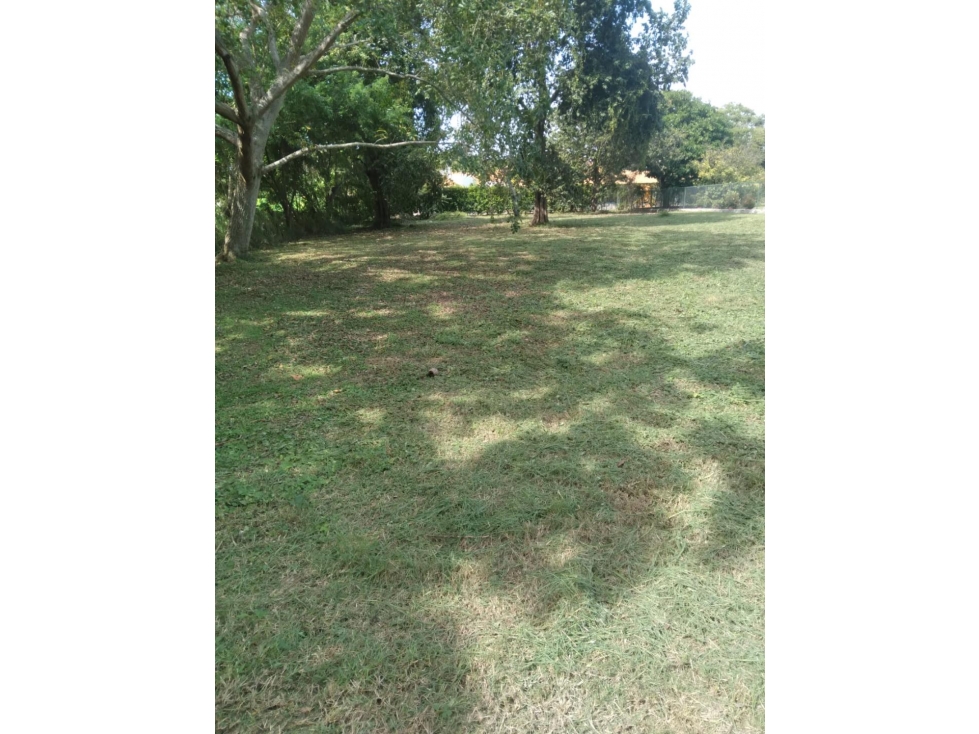 TERRENO EN CORONADO