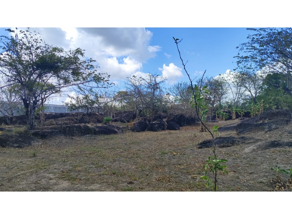 ¡OPORTUNIDAD DE INVERSIÃN EN COLONCITO, NUEVA GORGONA CHAME — foto 6
