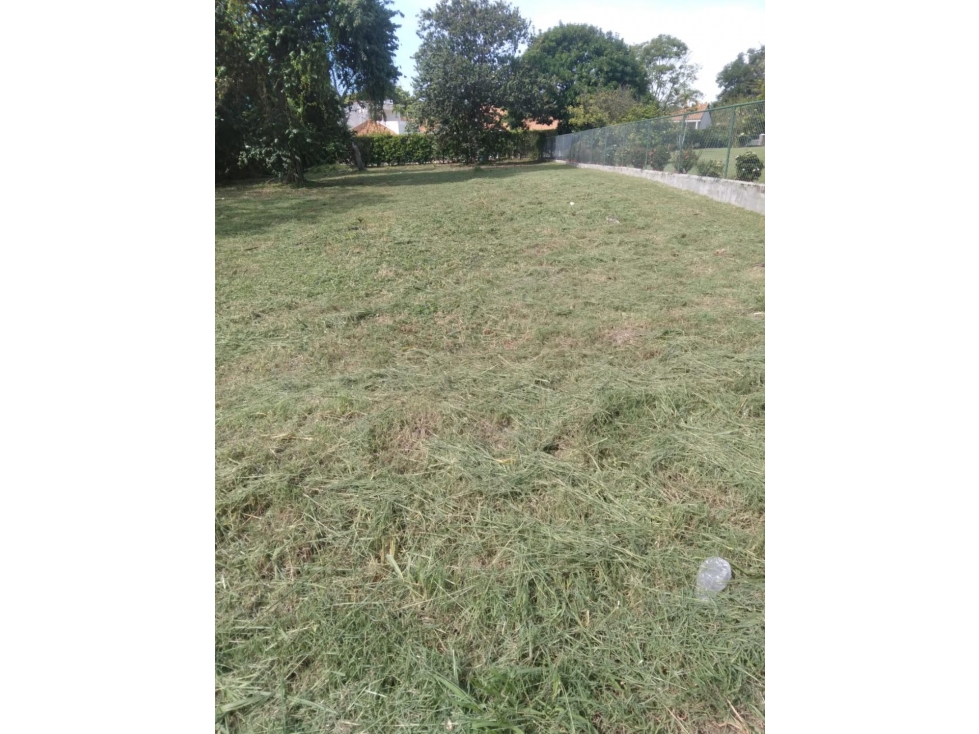 TERRENO EN CORONADO — foto 6