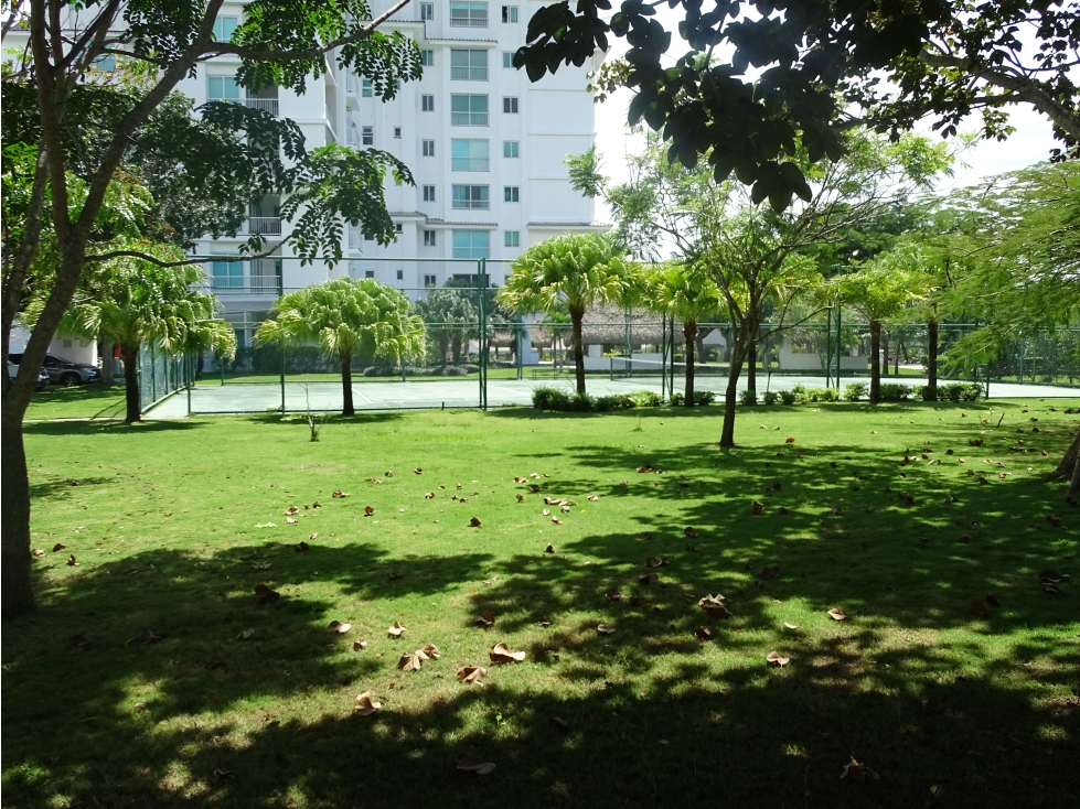 Bijao PH Cocoli Tower! Alquiler por 45 dias: $3,350.00 - 3