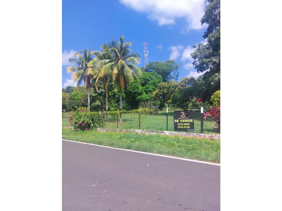 TERRENO PARA DESARROLLO INMOBILIARIO EN LA CHORRERA, PANAMA - 2