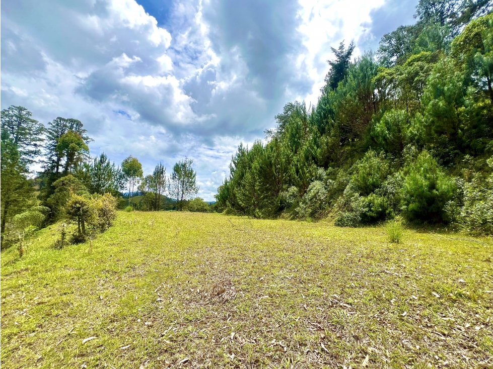 LOTE SECTOR DON DIEGO — foto 3