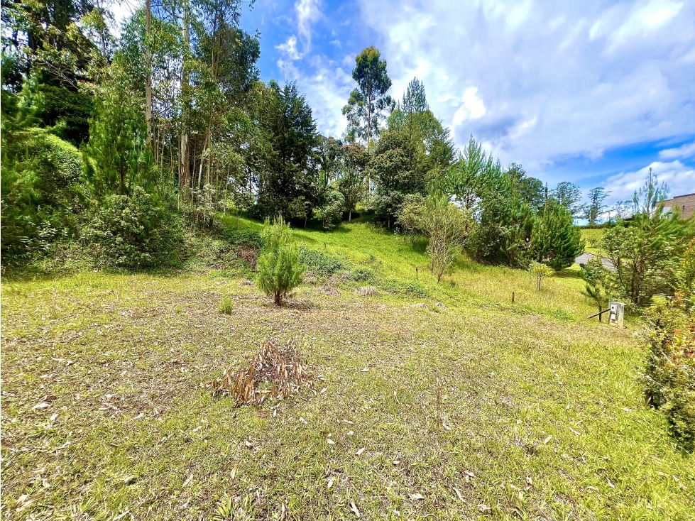 LOTE SECTOR DON DIEGO — foto 4