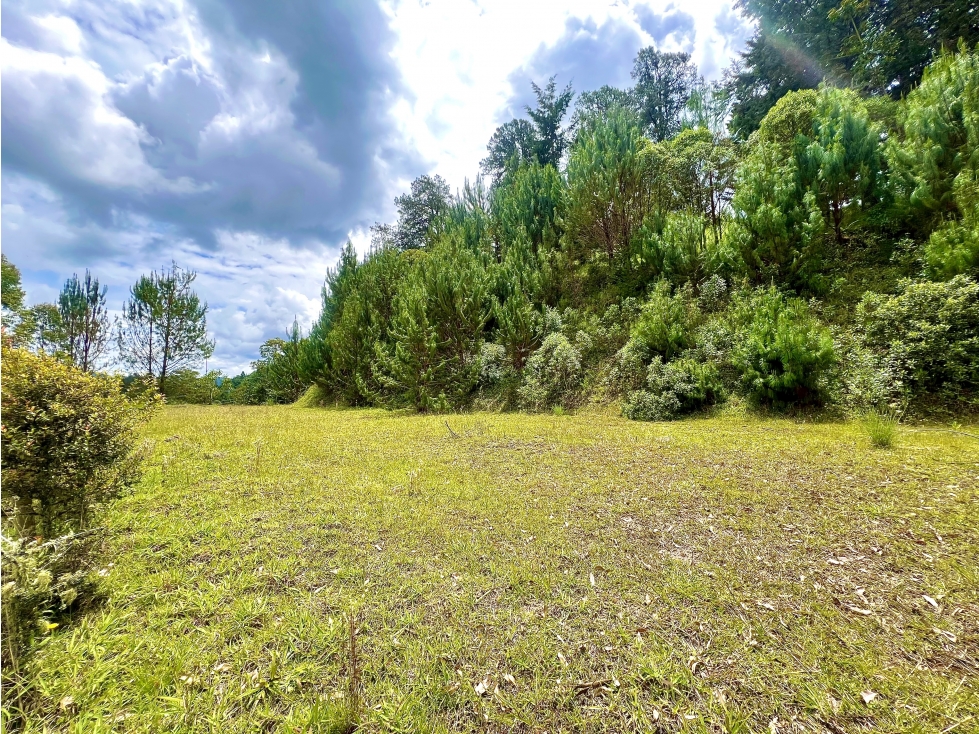LOTE SECTOR DON DIEGO — foto 5
