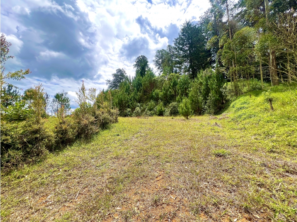 LOTE SECTOR DON DIEGO — foto 6