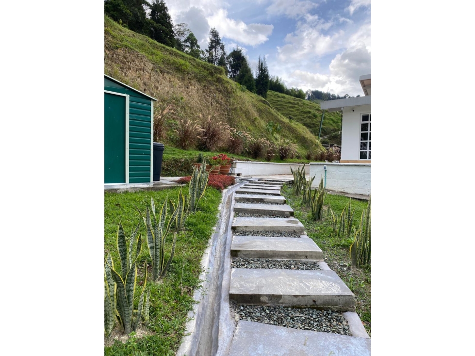 FINCA EN VENTA Y RENTA , LA MIEL, CALDAS - 3