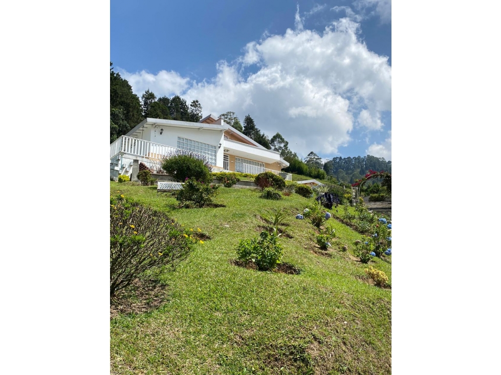 FINCA EN VENTA Y RENTA , LA MIEL, CALDAS - 2