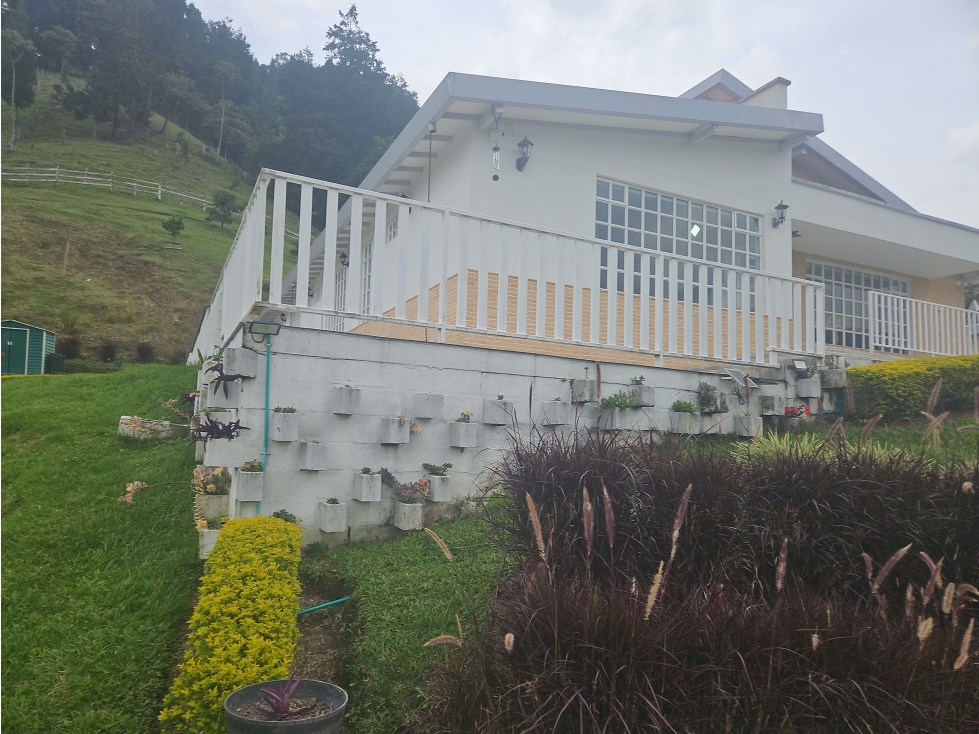 FINCA EN VENTA Y RENTA , LA MIEL, CALDAS - 4