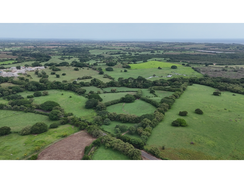 Se Vende Finca en 9.8 Has Via Playa El Uverito, Las Tablas - 1