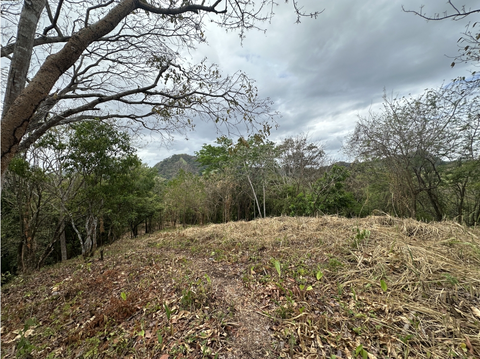 Se Vende Terreno de 8.5 ha en Chivo Chivo, Las Cumbres — foto 4