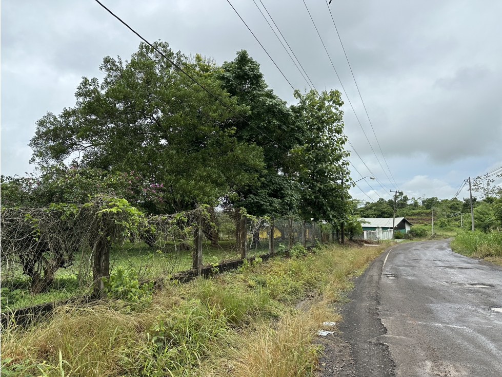 Se Vende Terreno de 8,000m2 en Altos del Espavé, La Chorrera — foto 2