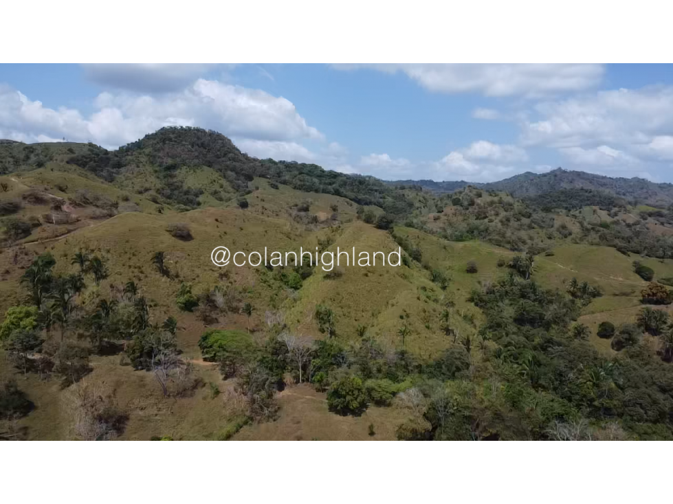 Se Vende Finca 1,731 hectáreas en Macaracas, Los Santos - 2