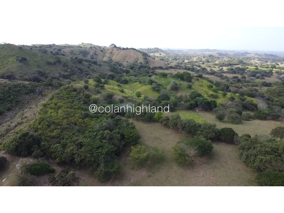 Se Vende Finca Ganadera en Llano Largo, Los Santos - 2