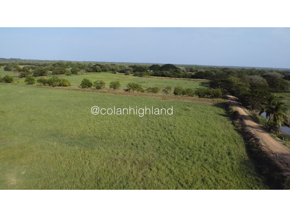 Se Vende Finca de 174.4 Hectareas en La Villa de Los Santos - 3