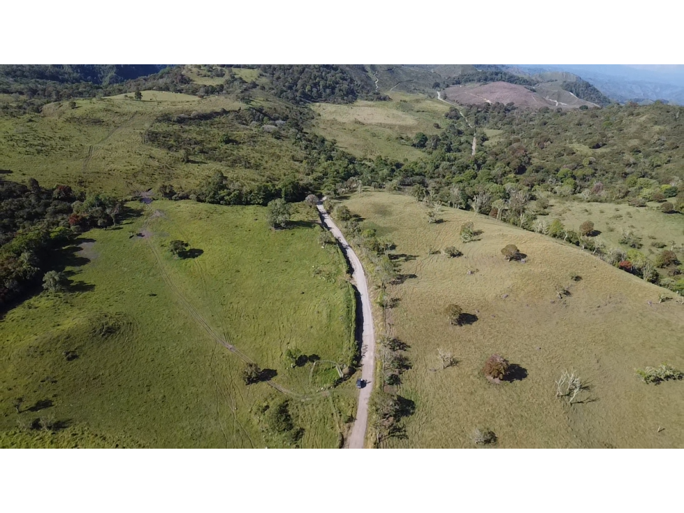 Se Vende Finca de 220 Hectareas en Volcán, Chiriquí MLS# 22066 - 2