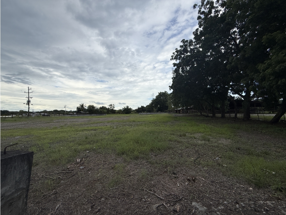 Se Vende Terreno en El Espinal de Guarare Via Las Tablas - Chitre - 3
