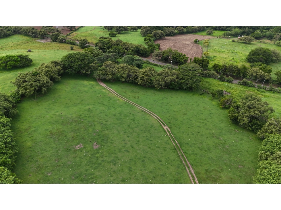 Se Vende Finca en 9.8 Has Via Playa El Uverito, Las Tablas - 2