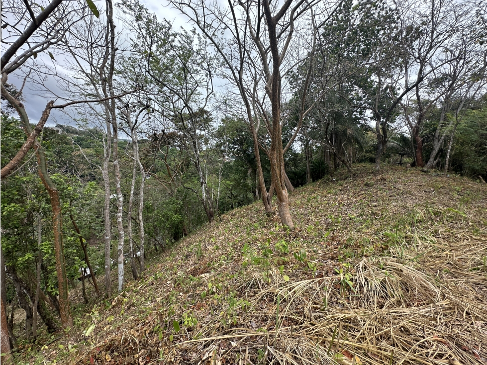 Se Vende Terreno de 8.5 ha en Chivo Chivo, Las Cumbres — foto 5