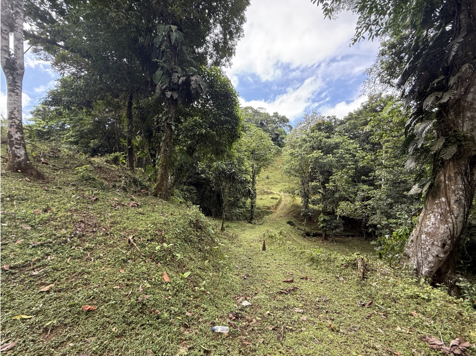 Se Vende Finca en Coclesito, La Pintada, Penonomé MLS23482 - 2
