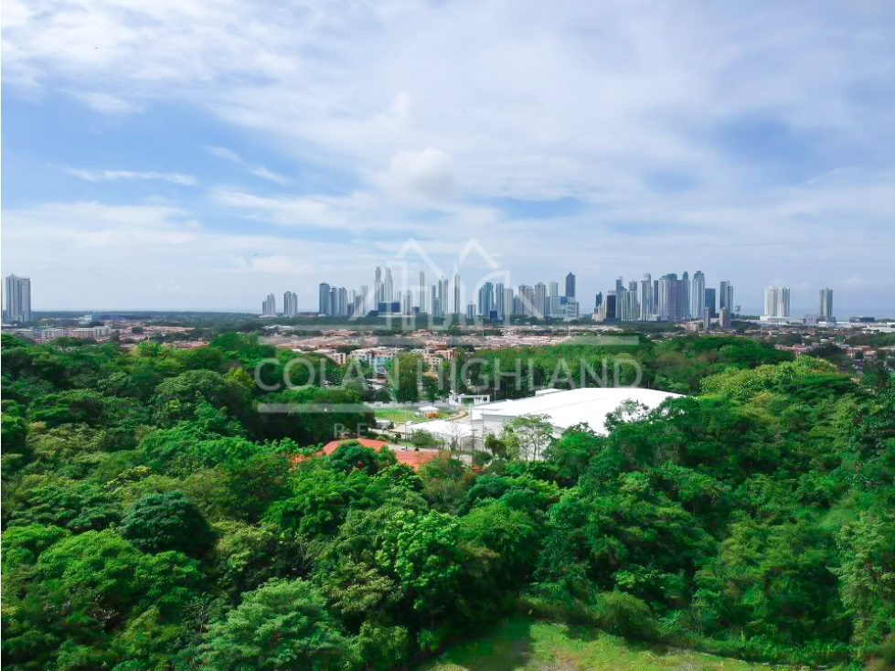 Se Vende Terreno en Avenida Domingo Díaz, Villa Lucre MLS#15381 — foto 5