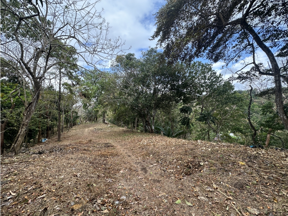Se Vende Terreno de 8.5 ha en Chivo Chivo, Las Cumbres — foto 6