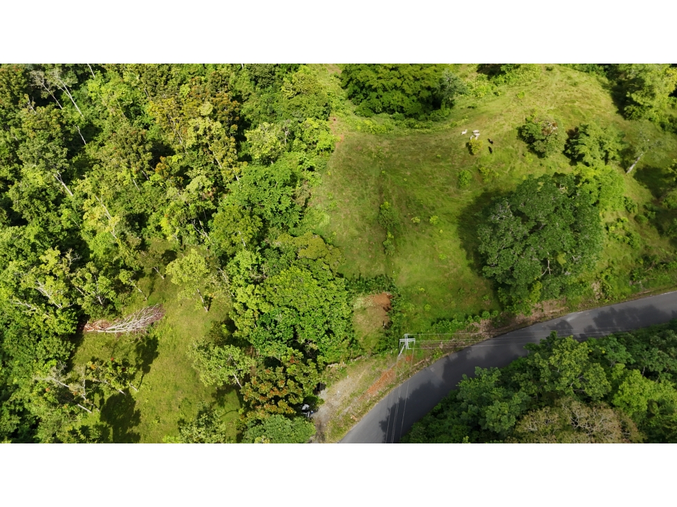 Se Vende Finca en Coclesito, La Pintada, Penonomé MLS23482 - 3