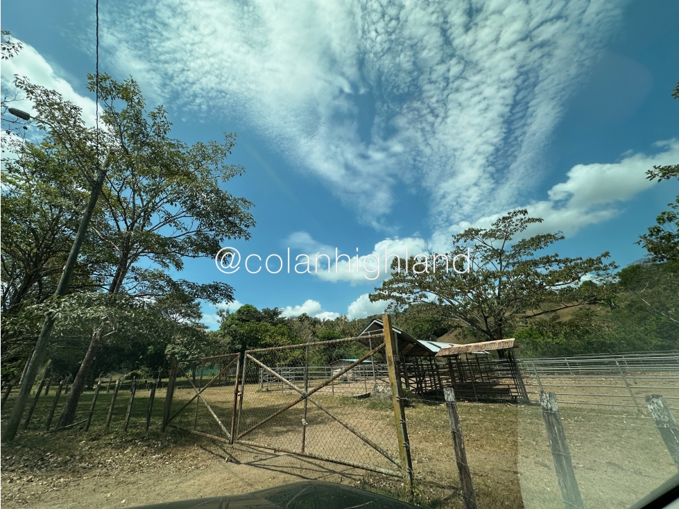 Se Vende Finca 1,731 hectáreas en Macaracas, Los Santos - 1