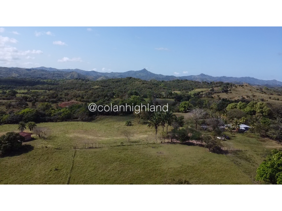 Se Vende Finca de Finca Ganadera de 308.5 ha. en Los Llanos de Ocú - 2