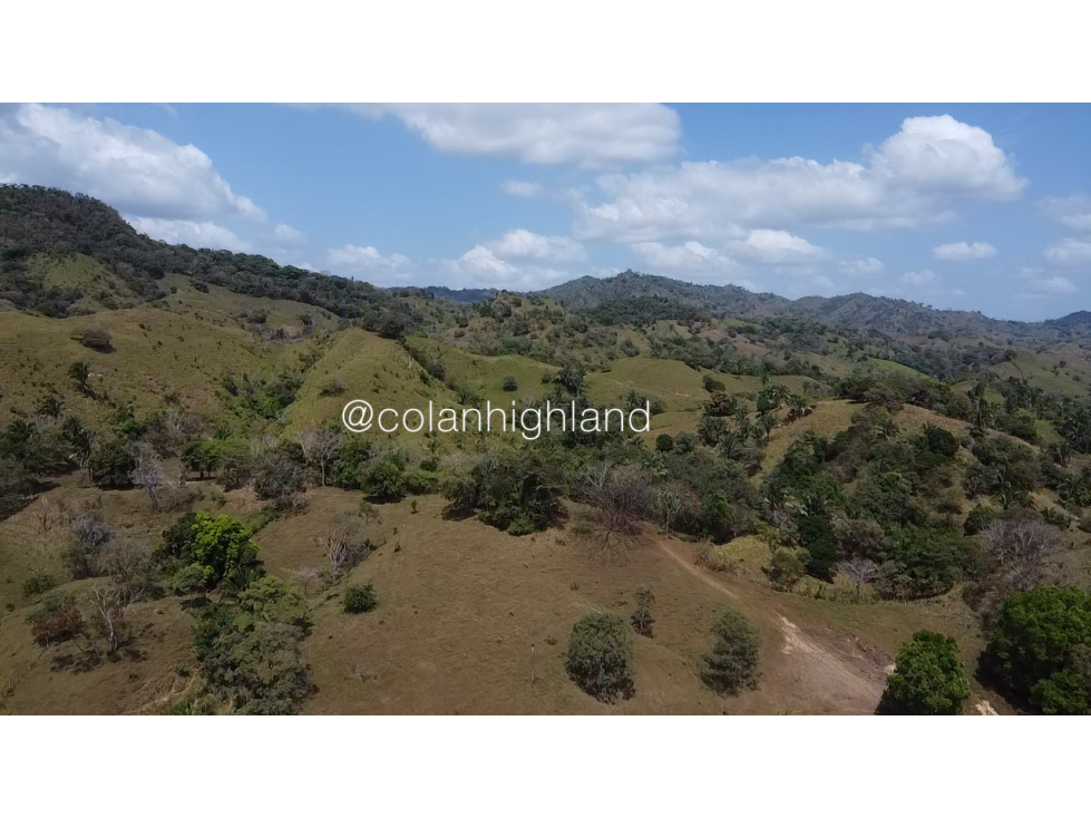 Se Vende Finca 1,731 hectáreas en Macaracas, Los Santos - 3