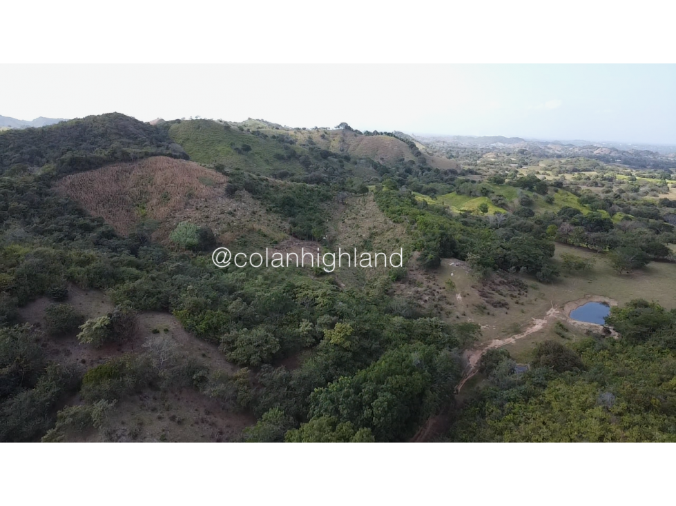 Se Vende Finca Ganadera en Llano Largo, Los Santos - 3