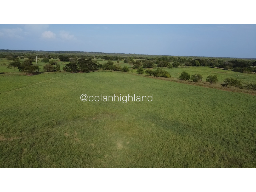 Se Vende Finca de 174.4 Hectareas en La Villa de Los Santos - 4
