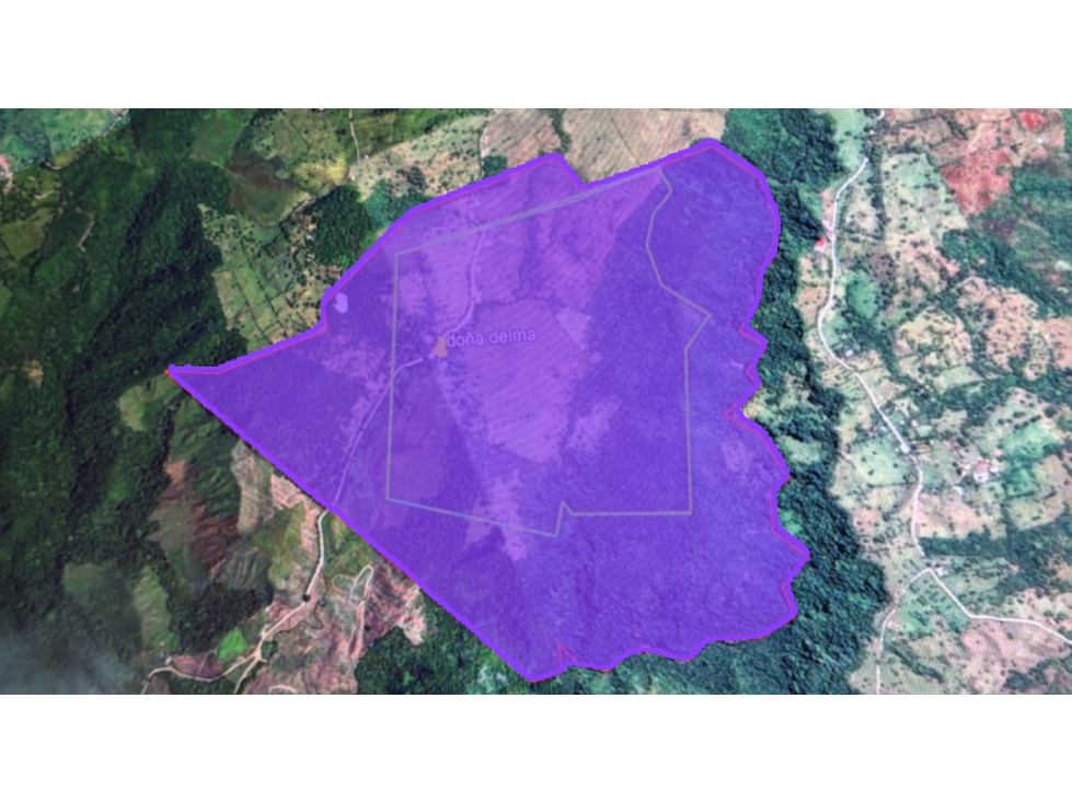 Se Vende Finca de 220 Hectareas en Volcán, Chiriquí MLS# 22066 - 3