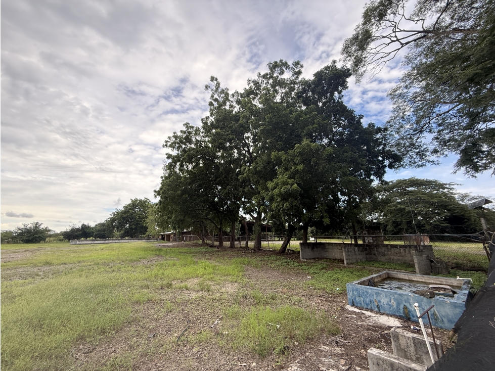 Se Vende Terreno en El Espinal de Guarare Via Las Tablas - Chitre - 5