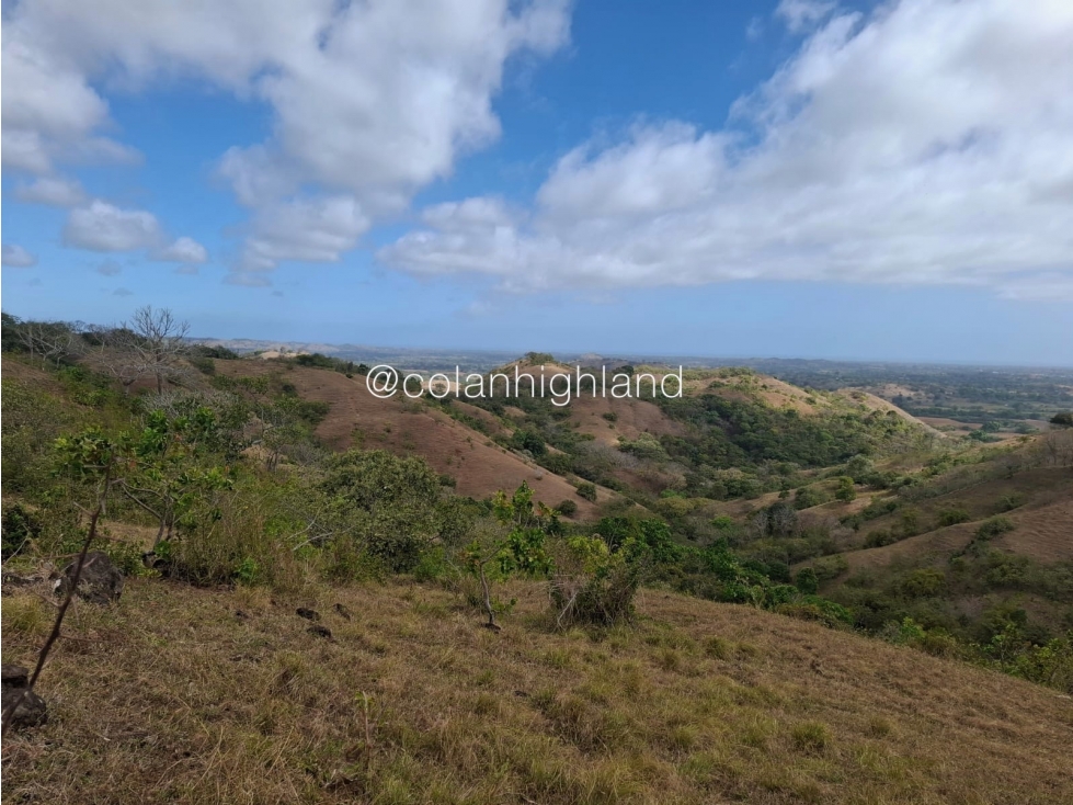 Se Vende Finca en Santa Marta, Las Tablas - 2