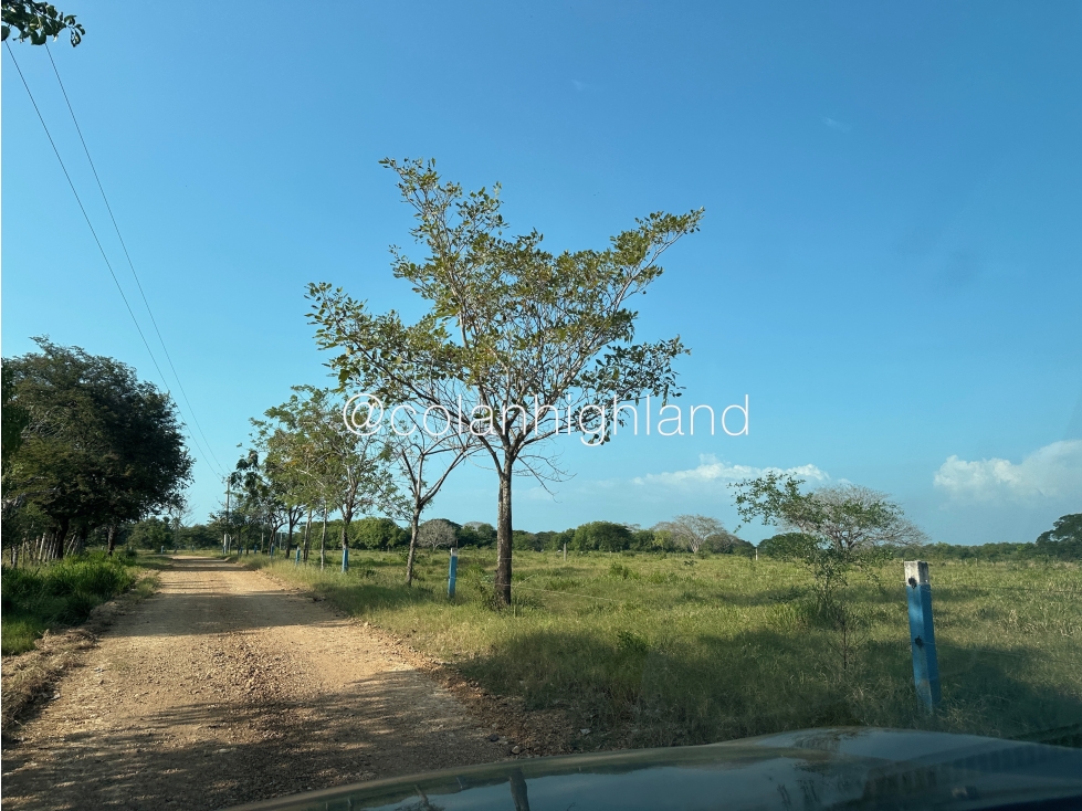 Se Vende Finca de 174.4 Hectareas en La Villa de Los Santos - 2