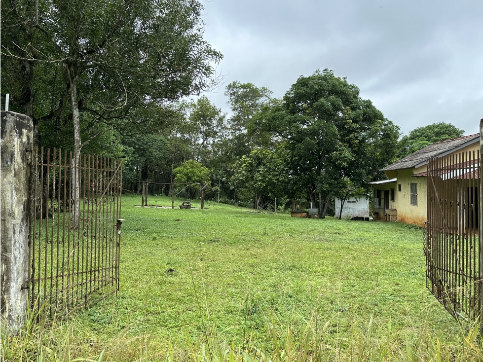 Se Vende Terreno de 8,000m2 en Altos del Espavé, La Chorrera — foto 3