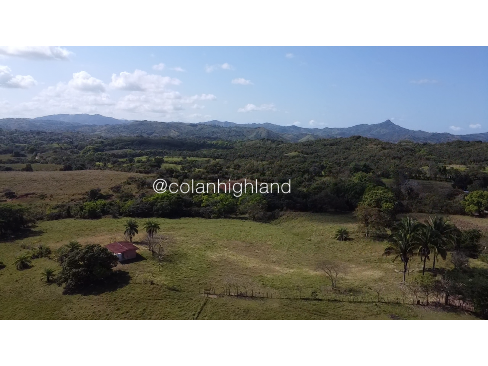 Se Vende Finca de Finca Ganadera de 308.5 ha. en Los Llanos de Ocú - 3