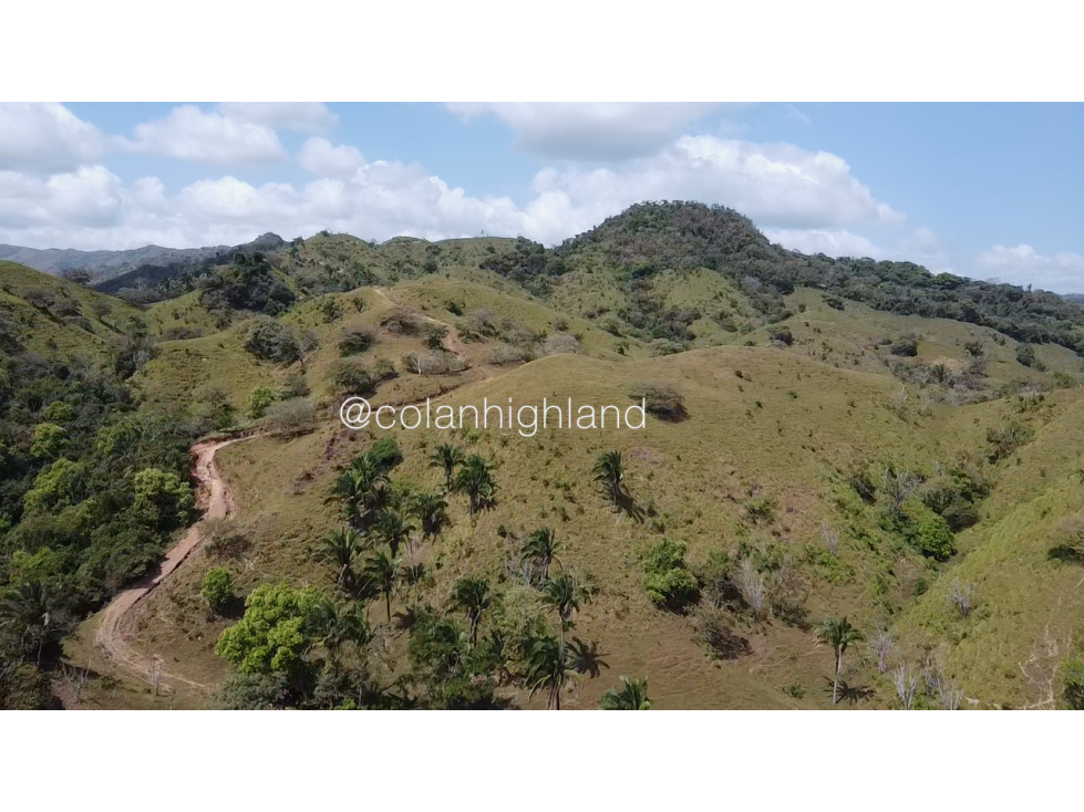 Se Vende Finca 1,731 hectáreas en Macaracas, Los Santos - 4