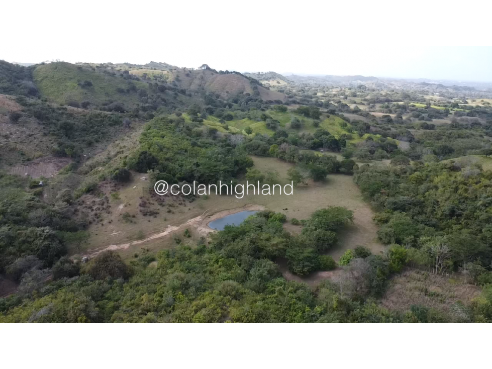 Se Vende Finca Ganadera en Llano Largo, Los Santos - 4