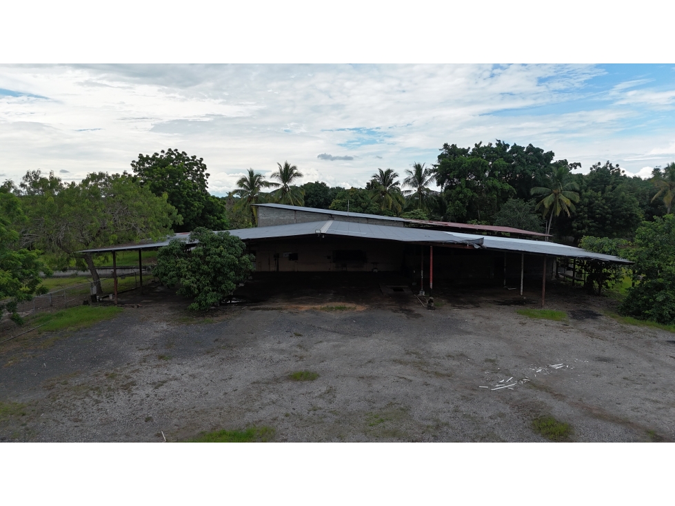 Se Vende Terreno en El Espinal de Guarare Via Las Tablas - Chitre - 6